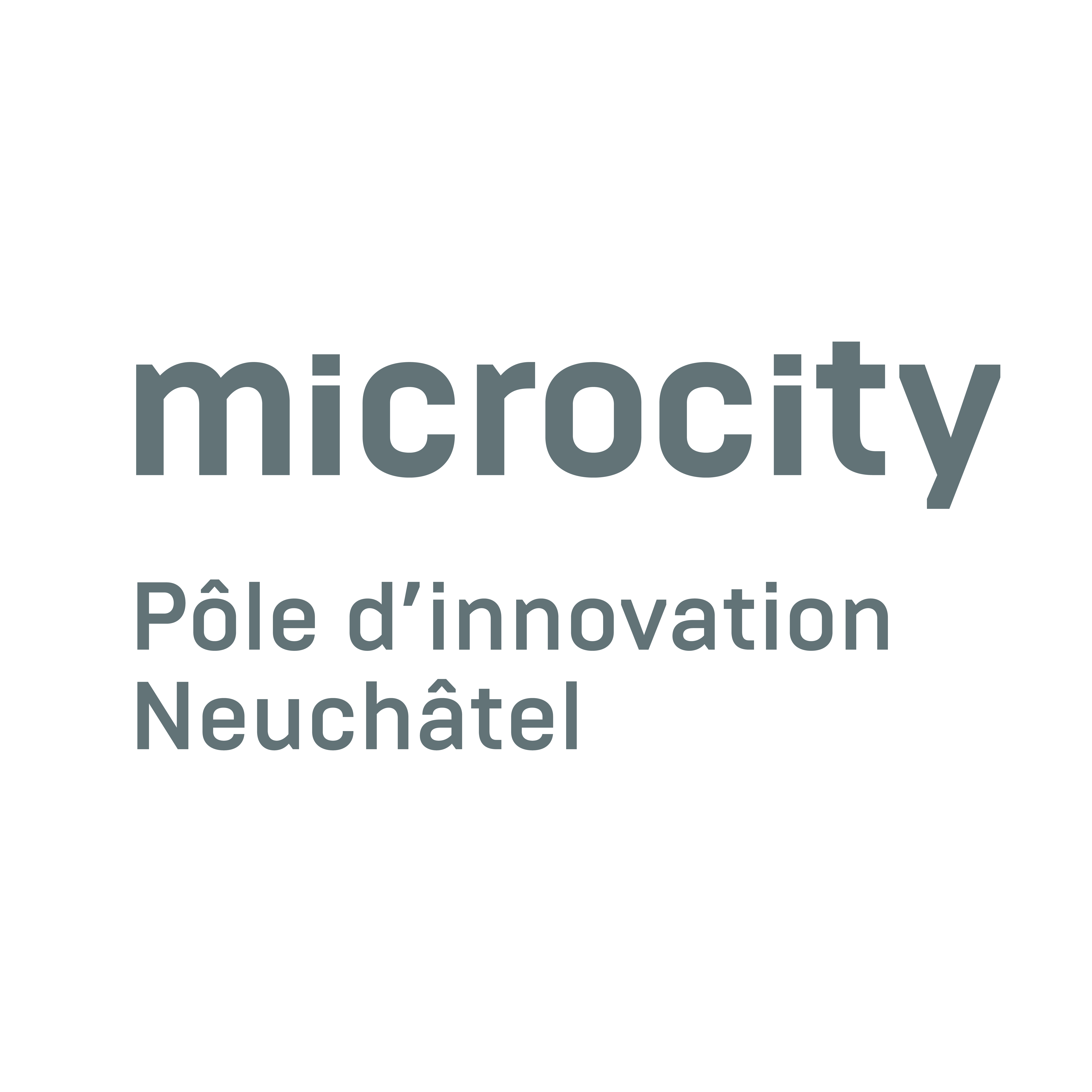 Microcity