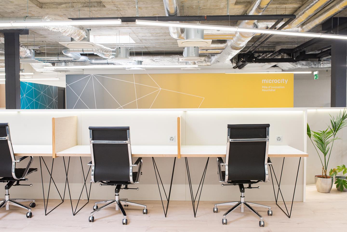 Iroda – Woodnest Works